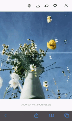 IMG_4826 (2) (1).gif